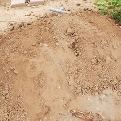 Free Dirt