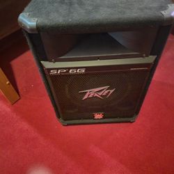 SP-6G   PEAVEY Speakers Made In The U.S.A