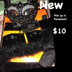 Kitty cat accessories