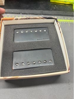 Seymour Duncan 7 string pickups