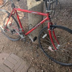 TREK Multi- Track 790 Street Racer