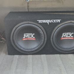 2 12s N Amp