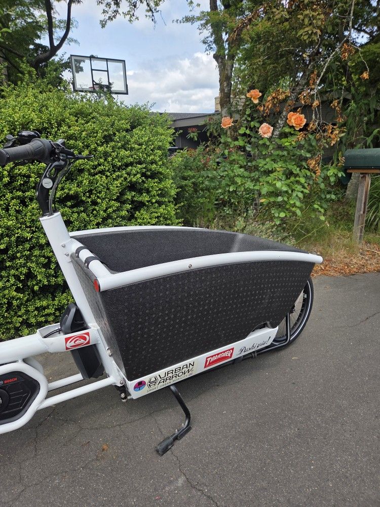 Urban Arrow (2019) - Best Cargo Bike Ever