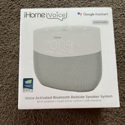 Google IHome 