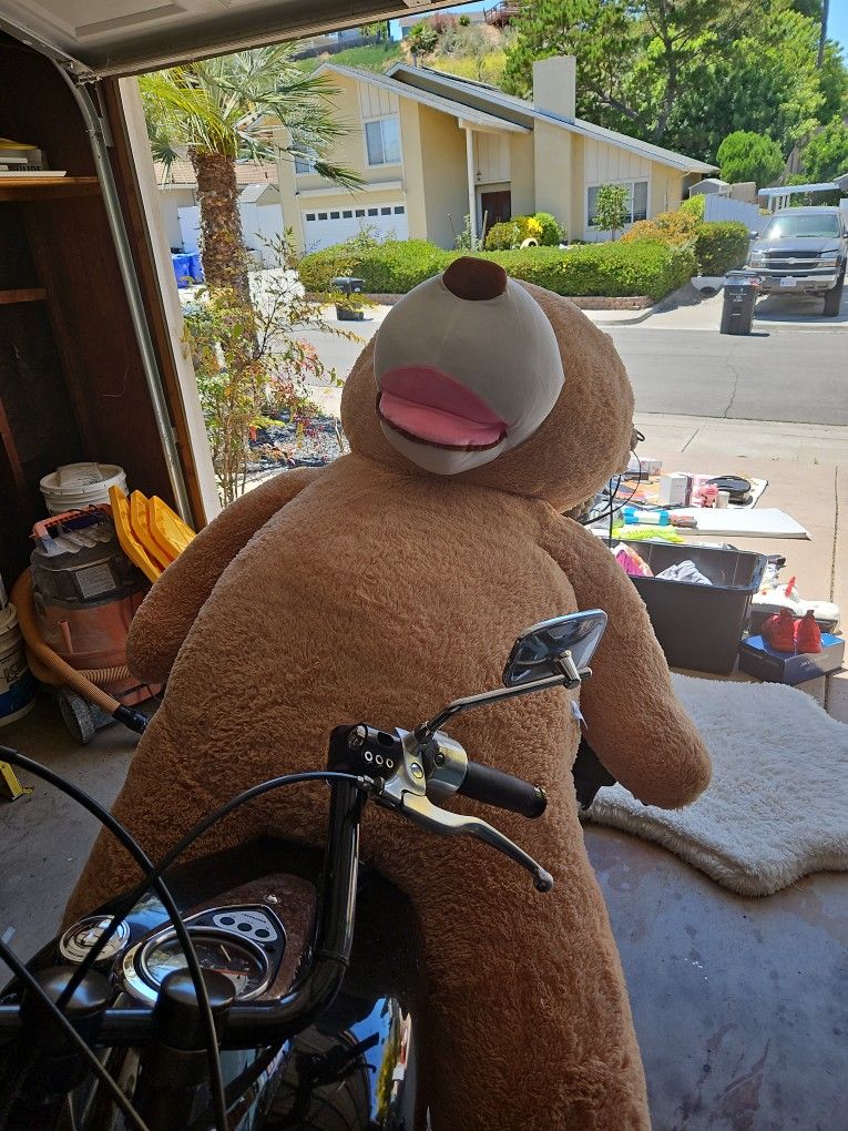 Giant Teddy Bear