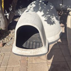 Dog House