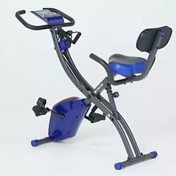 FITNATION Upright & Recumbent Flex Bike Express
