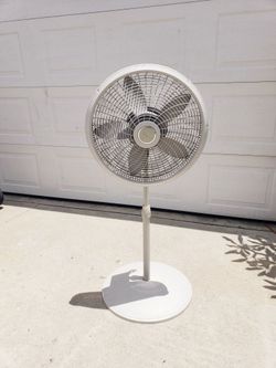 Fan