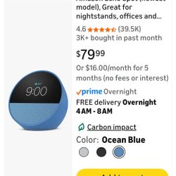 Echo Spot