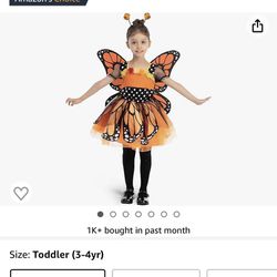 Halloween Costumes Butterfly