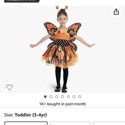 Halloween Costumes Butterfly