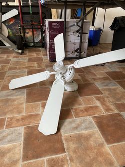 Fan