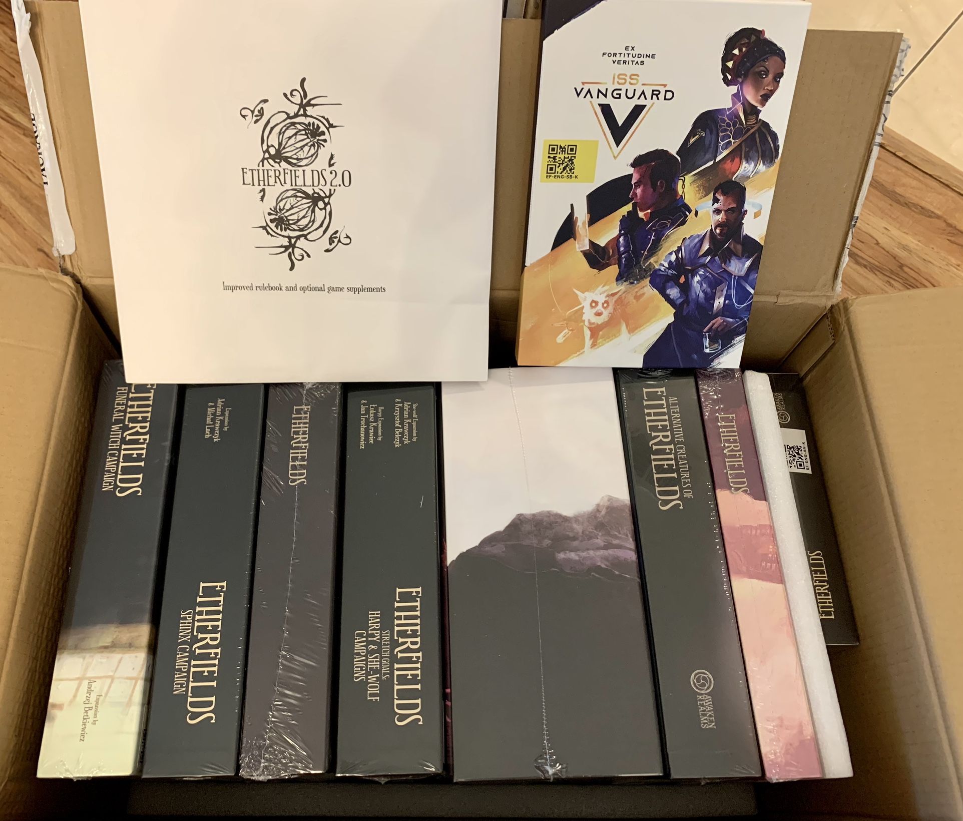 Etherfields Dream Master All In Kickstarter