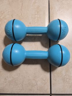 5 lbs Hand weights