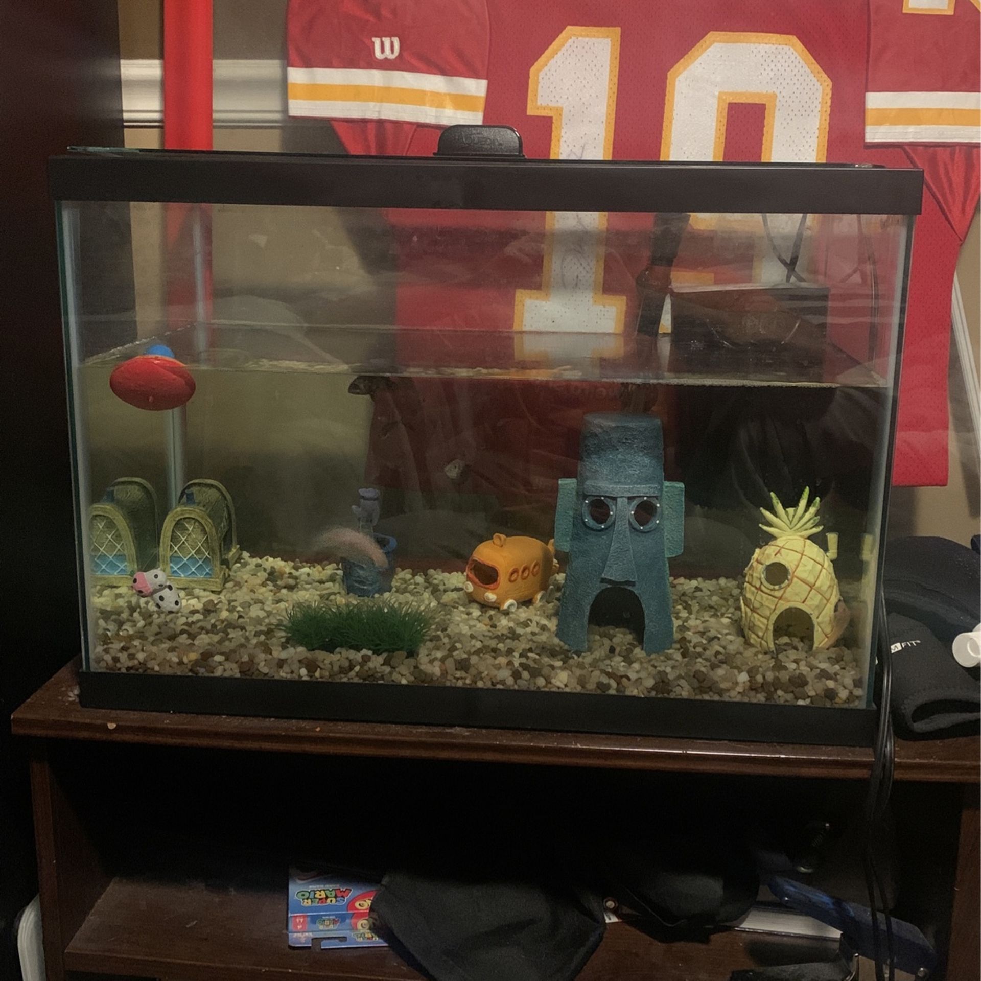 20 Gallon Fish tank With Fish And Decorations 