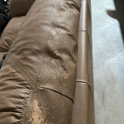 leather couch