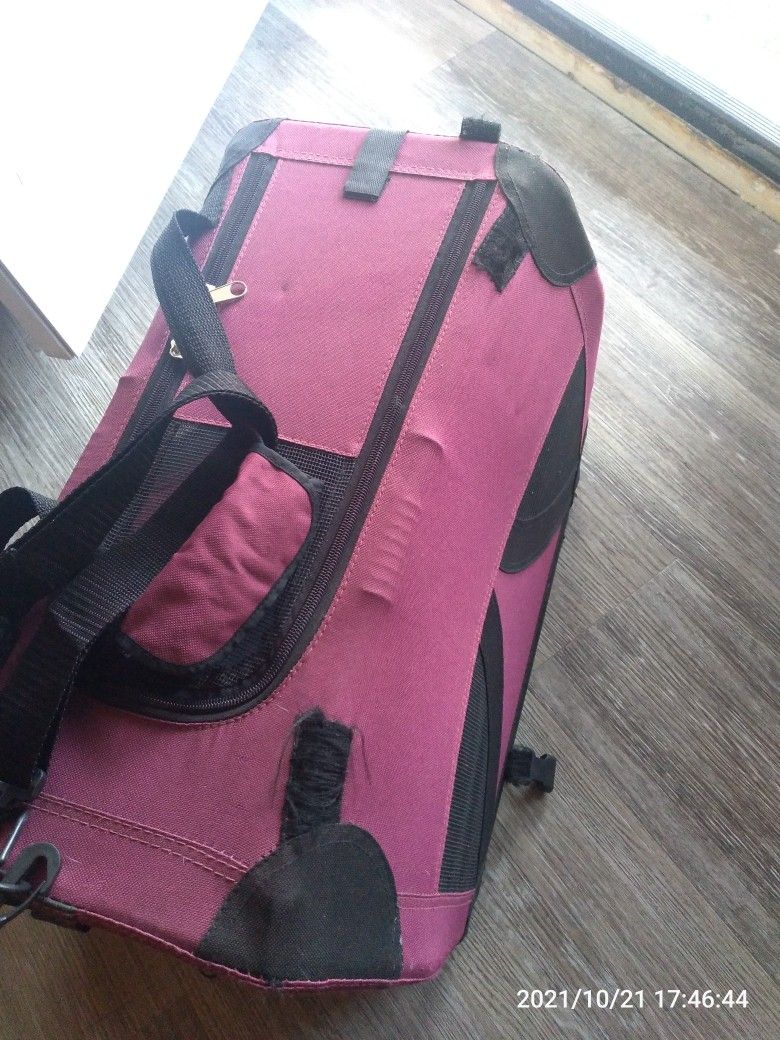 BP..Backyardpet, maroon carrier