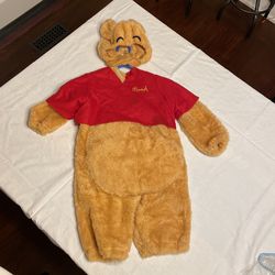 Winnie The Pooh Costume