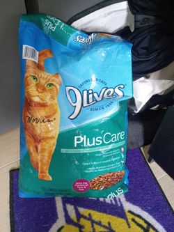 Cat food 😺