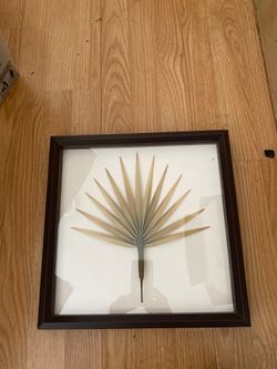 Wall decor/picture frame