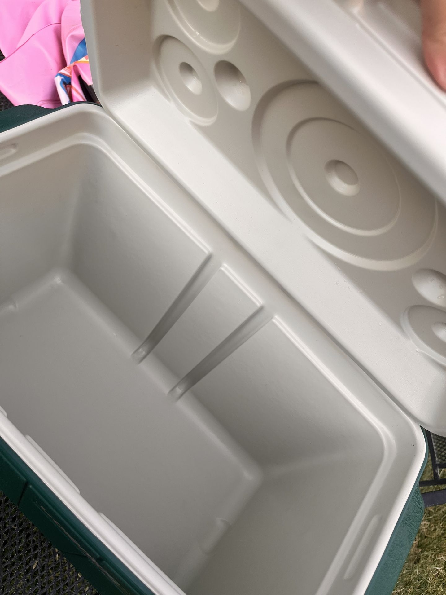Coleman Cooler