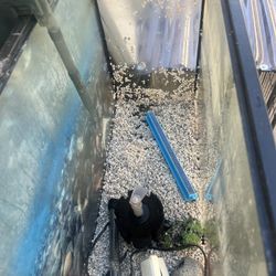 PECERA 40 G Mejor Oferta Se Va 