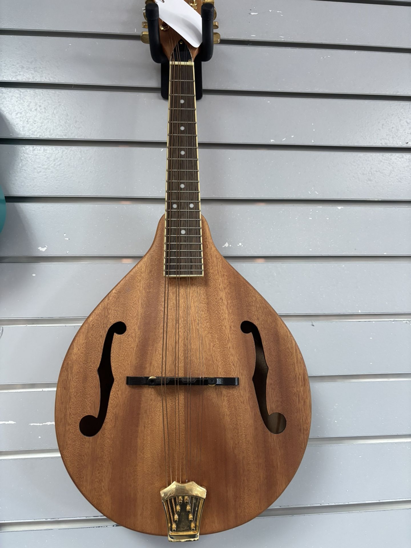 Morgan Monroe Mandolin