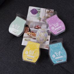 Scentsy Bar Spring/Summer Bundle - NEW!