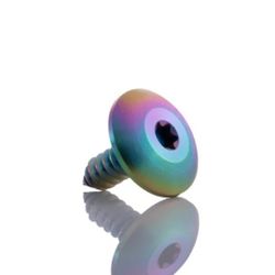 Titanium License Plate Screws 