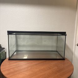 Fish / Reptile tank