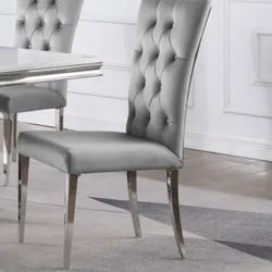 Dining Chairs