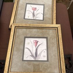 Frame Set