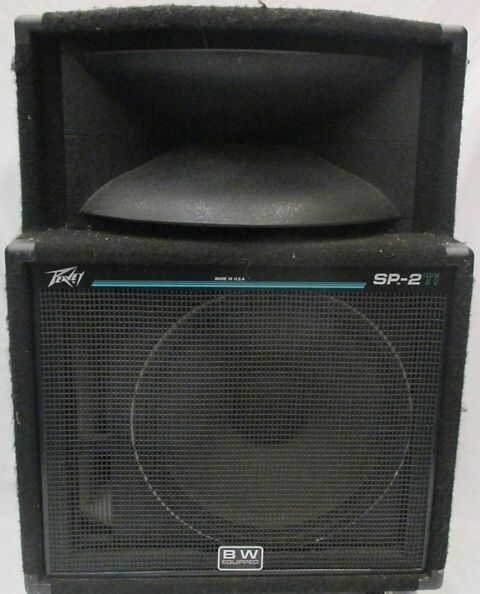 Peavey SP-2TI Unpowered Speaker (PAIR)