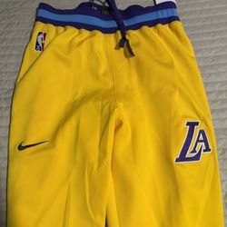 Nike Lakers Warm Up Pants 