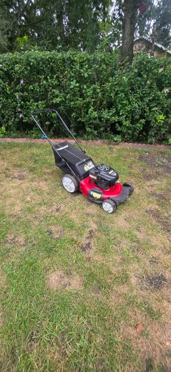 Crafstman Push Lawnmower with bag