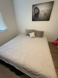King Size Memory Foam Mattress and Box Spring $200 OBO