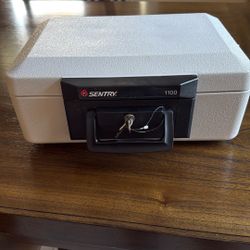 Sentry Safe -1100