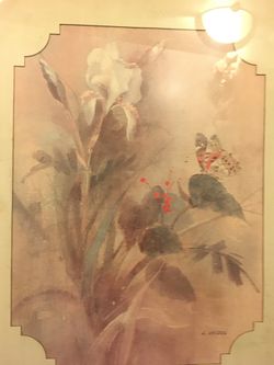21” x 17” framed picture orchid butterflies plants
