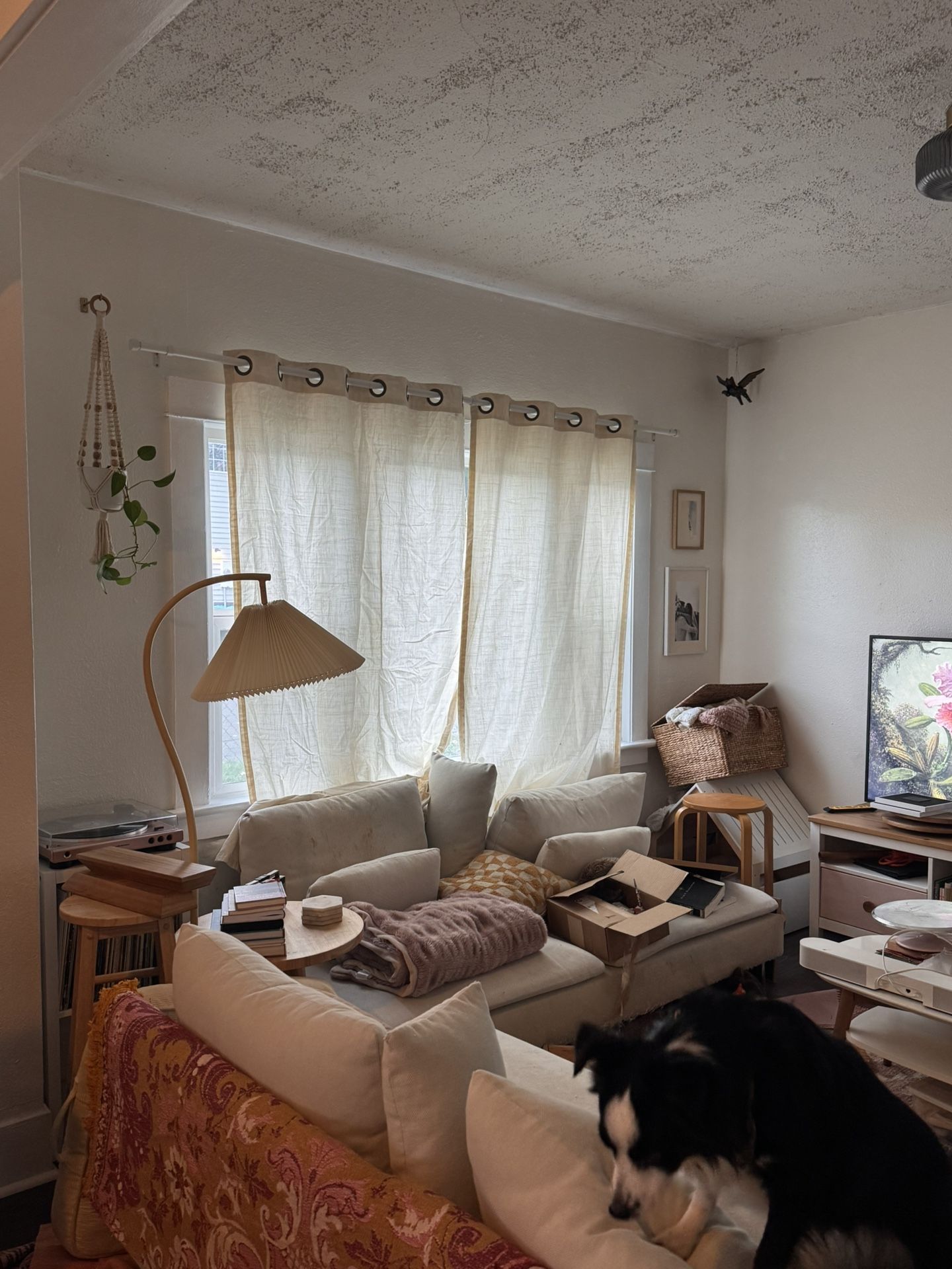 Soderhamn Couch - Well Loved