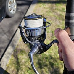 Daiwa Certate 5000d