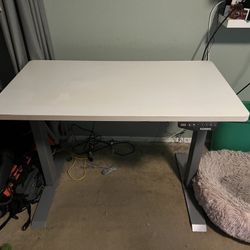 Flexispot Standing Desk 42x24 White