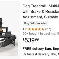 Dog Treadmill