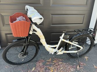 Electric Bike Beach Cruiser