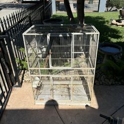 Bird Cage