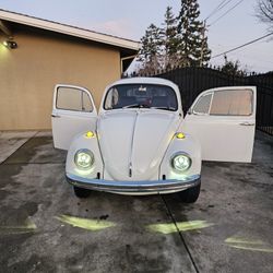 1969 Volkswagen Beetle 