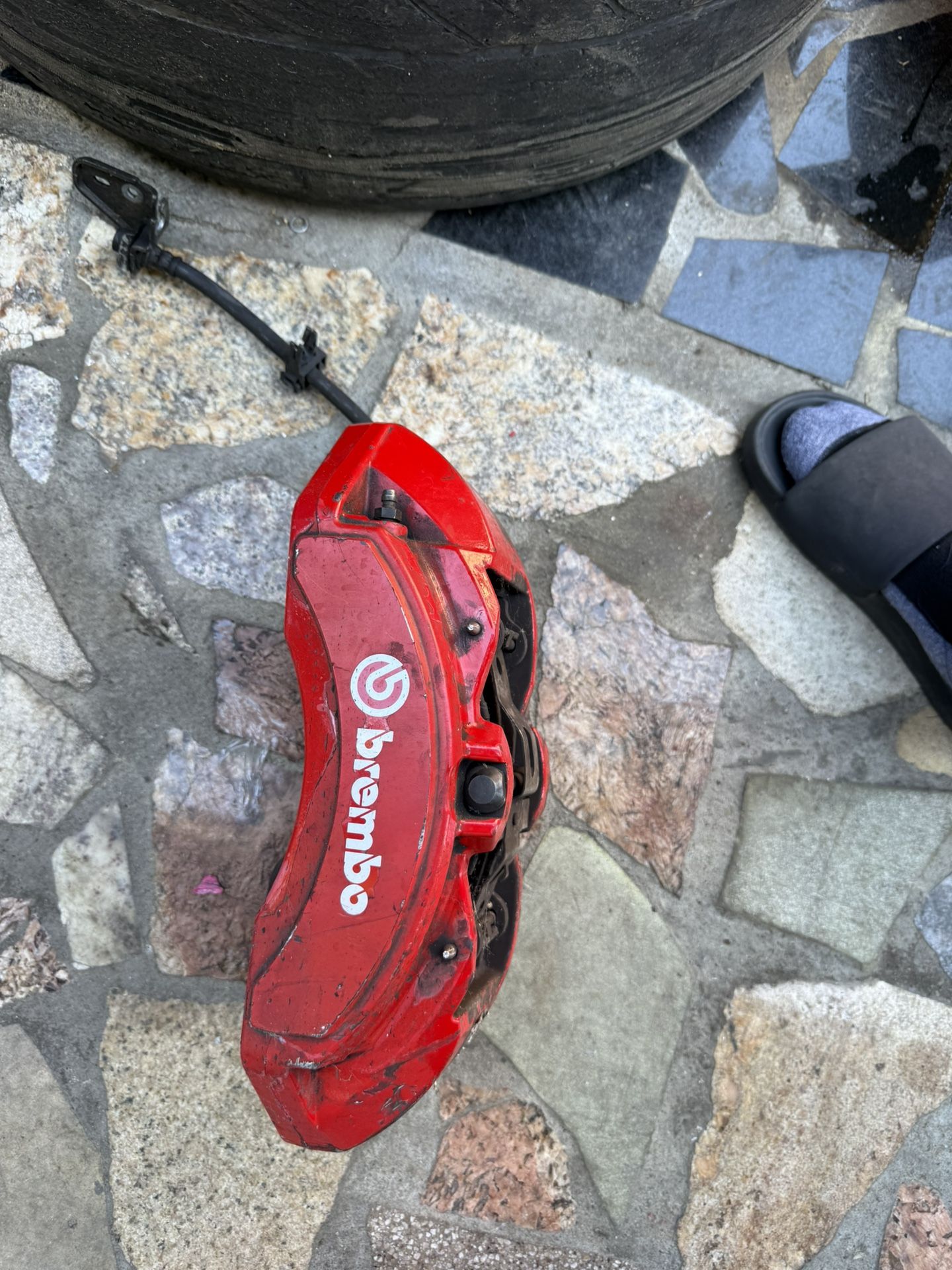 Brembo 6 Piston