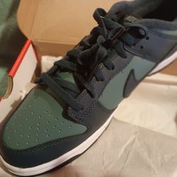 NIKE DUNK SZ 11 NEW