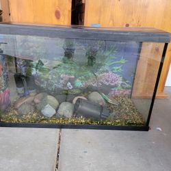 Nice 20 Gallon Fish Tank Aqaurium 