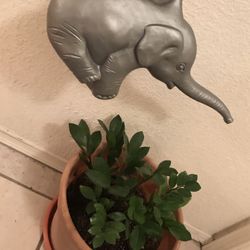 Flower & Plant Elephant Watering Container🐘 🌺🌸🌹