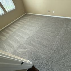 brand new carpet for sale! 